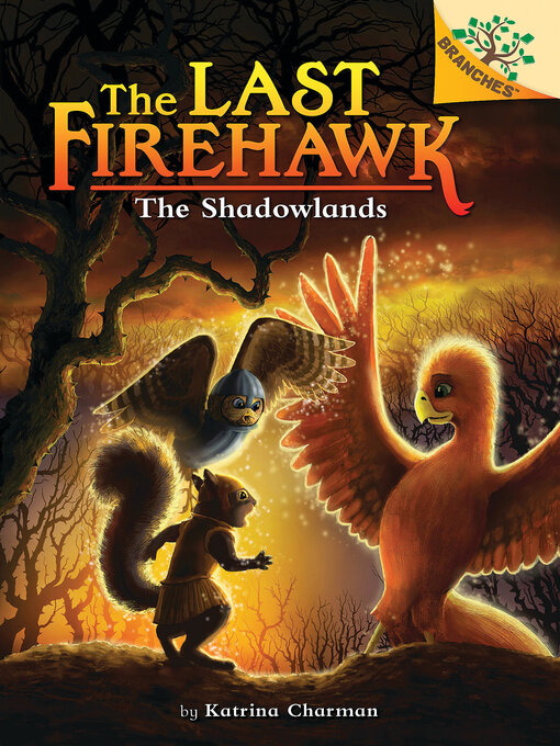 Cover image for The Shadowlands